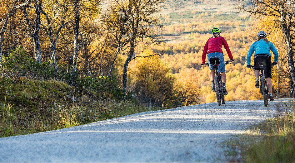 Stigcykling i Åre